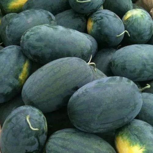 黑料吃瓜网799点su