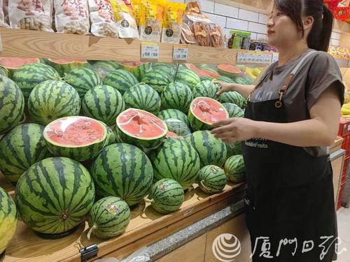 今日嫩瓜价格行情最新,今日价格走势解析