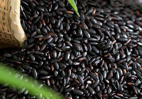 黑米和方瓜能一起吃吗,探究能否共食的饮食搭配之谜