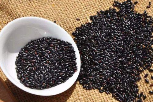 黑米和方瓜能一起吃吗,探究能否共食的饮食搭配之谜