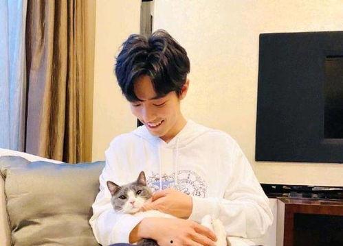 今日吃瓜杨紫肖战,娱乐圈风云再起