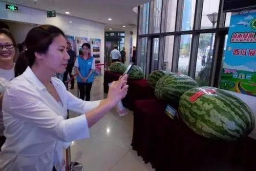 北京金融街今日吃瓜新闻,揭秘神秘事件背后的真相