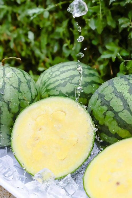 166.su 吃瓜黑料下载安装,轻松获取热门爆料