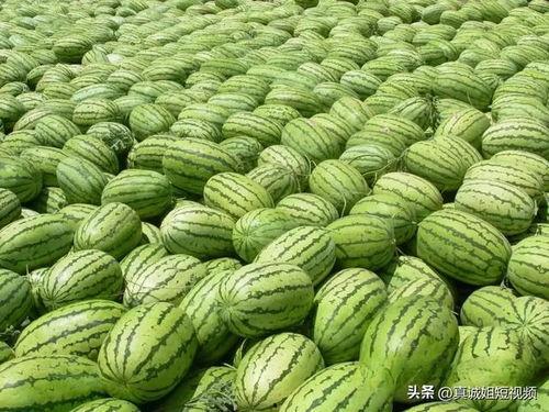 海外吃瓜 热门大瓜在线