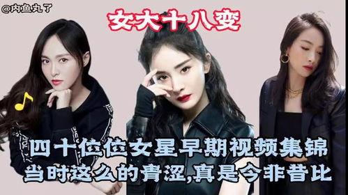 明星网红宣传视频合集,明星网红宣传视频盛宴集锦