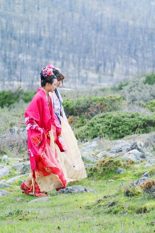 明星网红赏花是谁,共赏春日花海盛宴