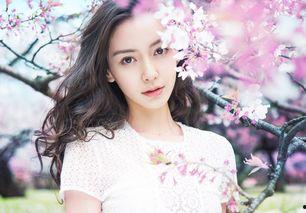 明星网红赏花是谁,共赏春日花海盛宴