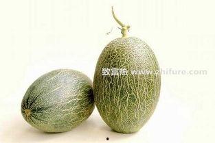 嘉兴哈密瓜今日价格走势,今日走势解析