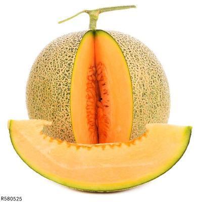 黑八哥可以吃哈密瓜吗,揭秘它们对哈密瓜的喜爱之谜