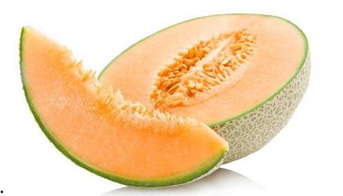 黑八哥可以吃哈密瓜吗,揭秘它们对哈密瓜的喜爱之谜