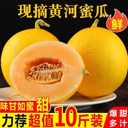 今日民勤蜜瓜金红宝价格,价格行情一览