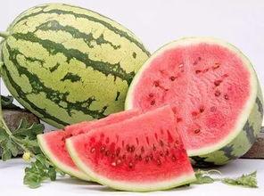 今日开启吃瓜模式是什么,网络热词背后的趣味与思考