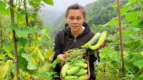 菜园里的小瓜热门歌曲,菜园里的旋律盛宴