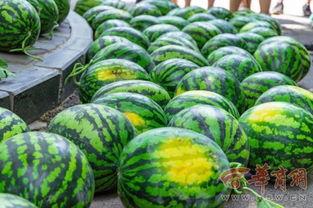 高校黑料吃瓜群,吃瓜群里的校园风云录