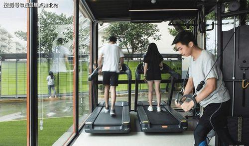 云南小瓜最新今日行情图片,价格波动与市场动态一览