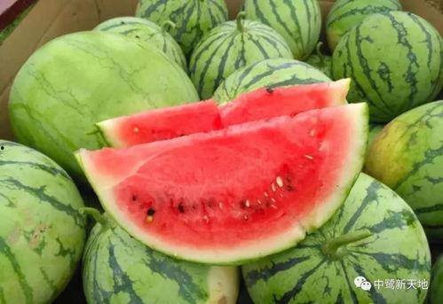 五一朝阳吃瓜今日最新,吃瓜群众聚焦最新热点事件