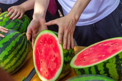 五一朝阳吃瓜今日最新,吃瓜群众聚焦最新热点事件