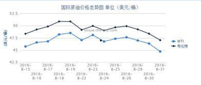 今日小瓜走势图表图解,今日行情一览