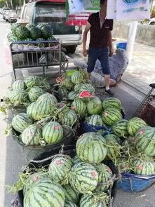 六盘水吃瓜最新事件爆料,揭秘背后惊人真相