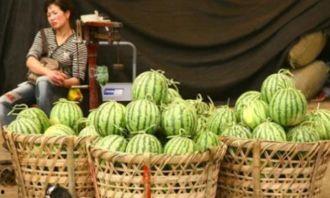 热门吃瓜上海热门,揭秘都市生活里的热点事件与趣味话题