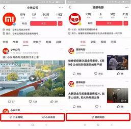 今日头条小瓜现状照片,今日头条新晋网红风采展示