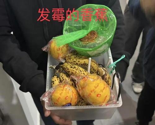 黑生物食堂吃瓜,揭秘神秘吃瓜背后的故事