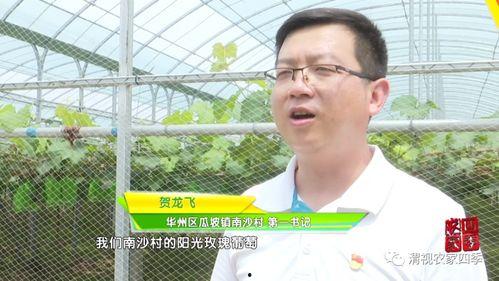 华州瓜坡今日新闻,聚焦今日热点，共话发展新篇