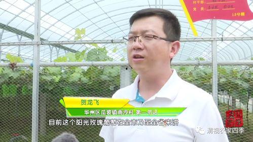 华州瓜坡今日新闻,聚焦今日热点，共话发展新篇