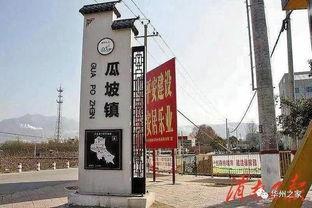 华州瓜坡今日新闻,聚焦今日热点，共话发展新篇