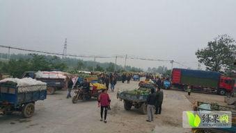 魏县热门吃瓜事件最新进展,最新进展揭秘