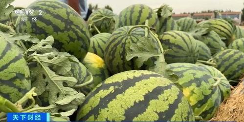 文安吃瓜事件上热门了吗,网络热议背后的真相与反思