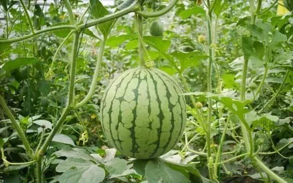 718热门大瓜吃瓜爆料,揭秘娱乐圈最新爆料风云