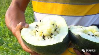 吃瓜黑产事件真相是什么,真相与内幕全解析