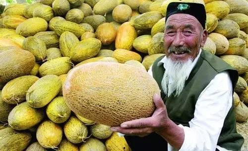 哈密瓜热门音乐,热门音乐盘点