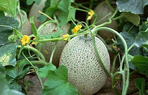 五一热门大瓜黑料,揭秘娱乐圈惊人内幕