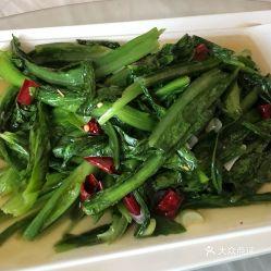 瓜州县今日菜价多少钱