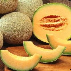 新疆产地哈密瓜今日价格,价格行情一览”